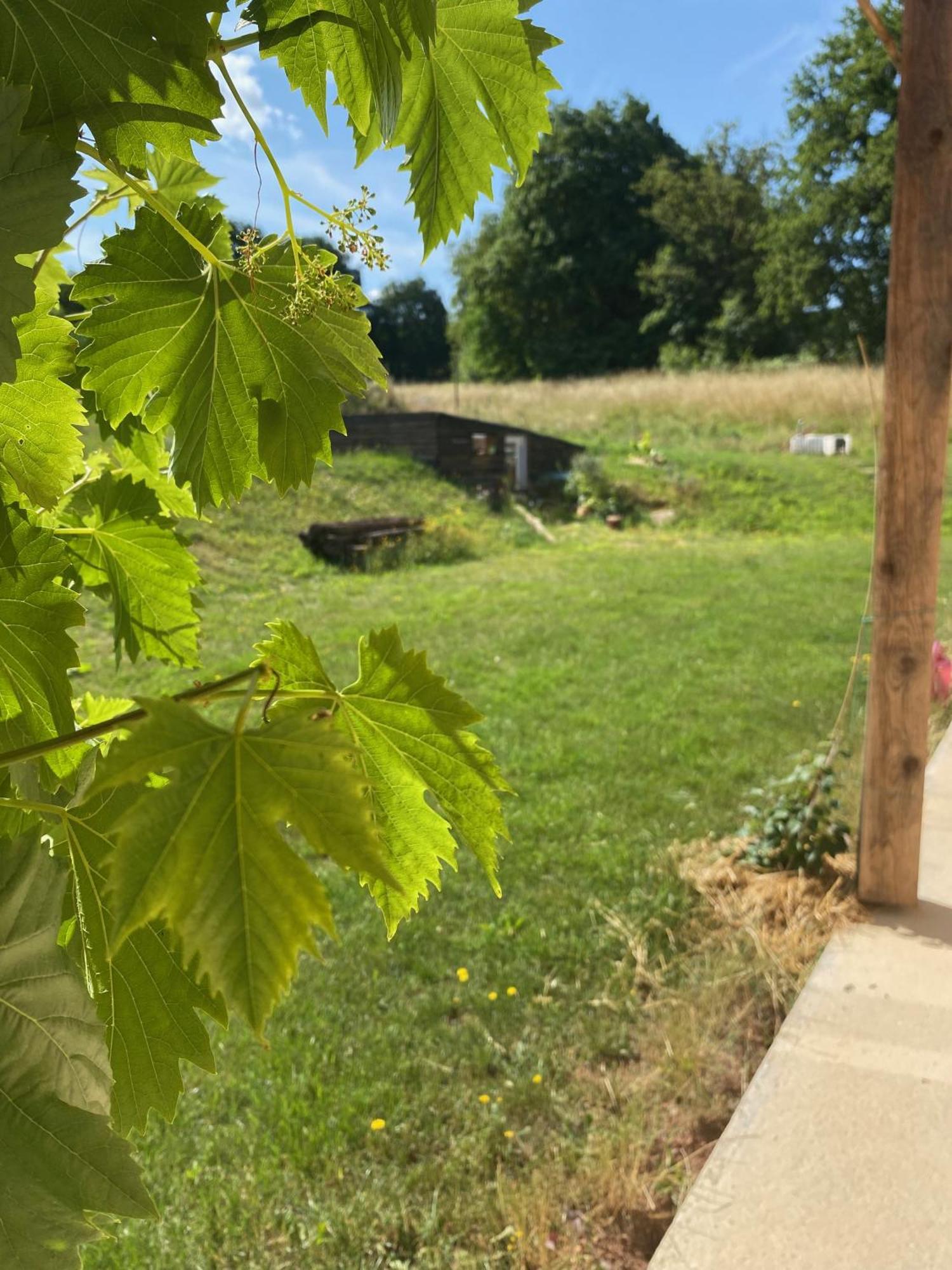 Paillehouse Vosges Denipaire Exterior foto